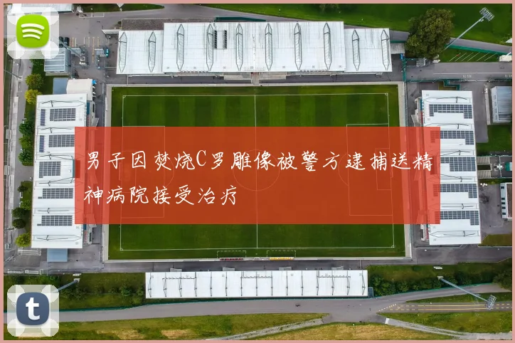 男子因焚烧C罗雕像被警方逮捕送精神病院接受治疗
